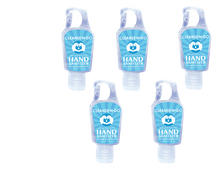 Load image into Gallery viewer, Hand Sanitizer Clip-On Bottles
